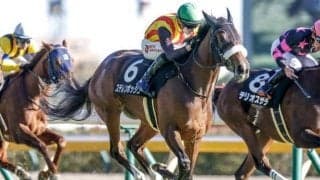 【秋華賞・調教後馬体重】ステレンボッシュは478kg、チェルヴィニアは498kg