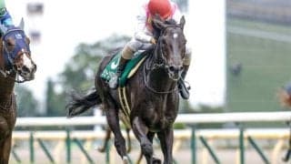 【東京HJ出走馬・騎手確定】ジューンベロシティ＆高田潤騎手、ニシノデイジー＆五十嵐雄祐騎手など9頭