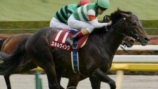 青葉賞覇者スキルヴィングの半妹 日曜東京5Rでデビュー勝ち狙う