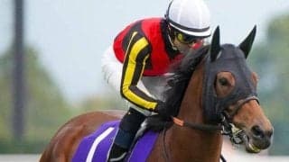 6年ぶりにGI馬の府中牝馬S制覇なるか エ女王杯覇者が11カ月ぶり復帰