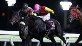 船橋のJpnIホースが高知移籍 下級条件から復活目指す