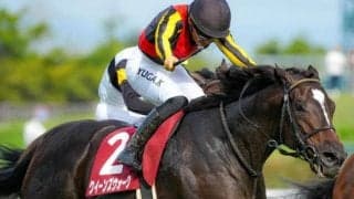 9年間秋華賞勝ち馬が出ていない!? 明暗分かれる紫苑SとローズS