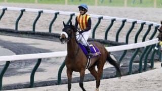 【秋華賞】調教後の馬体重…桜花賞馬ステレンボッシュはプラス20キロ