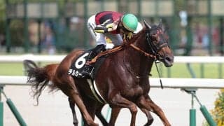 【競馬予想】秋華賞で「３強」を出し抜く馬はいるか？ 穴党記者が密かに期待する伏兵２頭