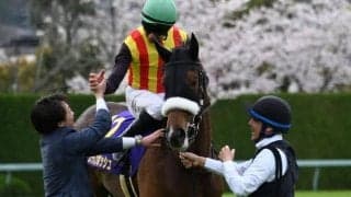 【秋華賞枠順確定】ステレンボッシュは8枠14番、チェルヴィニアは3枠5番