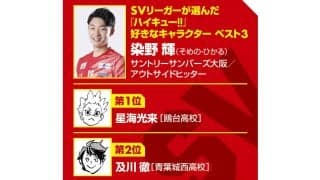 【ハイキュー‼×SVリーグ】サントリー染野輝が貫いてきたエース道　『ハイキュー‼』の好きなキャラ1位も「小さなエース」
