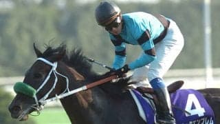 近20年で2桁人気馬の勝利は一度 秋華賞の平均配当を調べると…