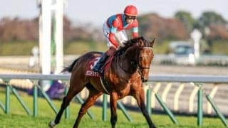 ガストリックが抹消・乗馬に 22年の東スポ杯2歳S覇者