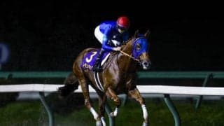 【盛岡・南部杯枠順】昨年大差勝ちのレモンポップは1枠1番、今年のフェブラリーS覇者ペプチドナイルは8枠14番