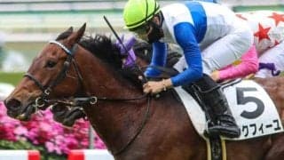 京都芝は高速決着 舞台巧者のサンクフィーユが巻き返す