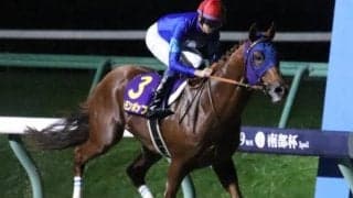 昨年は2秒0差の大楽勝 南部杯で史上初の偉業が生まれるか