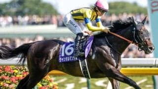 【富士S想定馬・騎手】ジャンタルマンタル、ソウルラッシュなど17頭