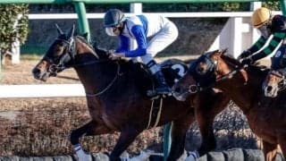 【今日の注目ポイント】3日間開催初日は京都のメインにOP・大阪スポーツ杯