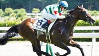 新馬圧勝の愛国産馬 名手と共に無傷のデビュー2連勝へ