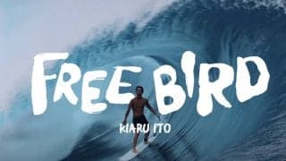 予告編第2弾！日本を代表するプロサーファー「伊東李安琉」とフォトグラファー「木本直哉」が世界各地の波を追い求め完成させた作品 “FREE BIRD”
