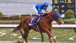 【MCS南部杯／3連単36点】調教で“併走遅れ”レモンポップの評価は　「一発逆転」狙うなら人気盲点のJRA所属馬