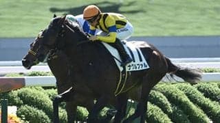 【京都5R新馬戦結果】エピファネイア産駒ナグルファルが競り合いを制す