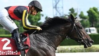 【秋華賞予想】京都内回りは大型馬には不向きな条件!? 力を出し切れない最大の要因とは