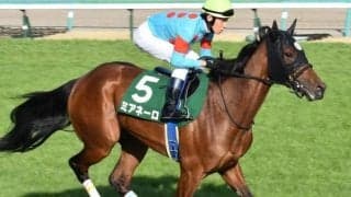 霜降り明星・粗品はミアネーロで好配狙い 馬連＆3連単で勝負だ