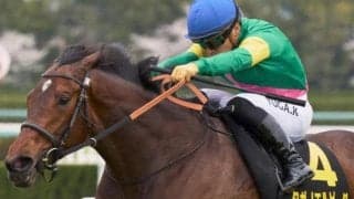 京都芝は高速決着＆ディープ系優勢 キズナ産駒のタガノエルピーダで好配ゲットだ