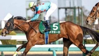 【秋華賞予想】3歳牝馬が最後の冠をかけ淀に集う 内回りに対応できる器用さと瞬発力がカギ