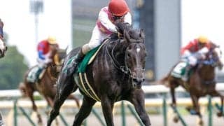 【東京HJ予想】“障害王”へと続く道 ステップレースを制して暮れへ弾みを付ける馬は？