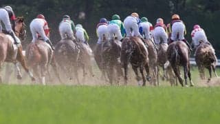 【秋華賞／馬場情報】高速馬場で「前残り」連発　チェルヴィニアは届くのか……警戒すべき“単勝オッズ2桁”の逃げ・先行馬