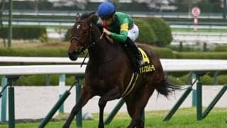 秋華賞は2番手以下が遅めの流れに!? 先行できるタガノエルピーダとランスオブクイーンが穴かも