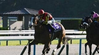 【JRA・WIN5】本日のWIN5は的中384票、配当108万6510円