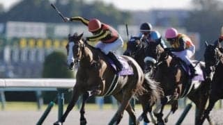 【秋華賞】チェルヴィニアが二冠達成…2着には武豊ボンドガール