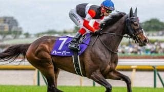 東京芝はハーツクライの血に要注意！ 最内枠ハーパーの復活Vだ