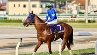 【南部杯】坂井瑠星レモンポップは1枠1番へ