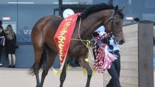 【今日の注目ポイント】東京で府中牝馬Sと地方・盛岡でJpnI南部杯