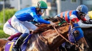 【盛岡・南部杯注目馬】秋のダートマイル王目指し中央・地方から豪華メンバー集結