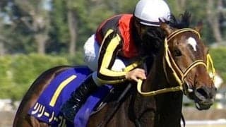 母は樫2着のリリーノーブル デンクマールがルメール騎手で初陣Vなるか