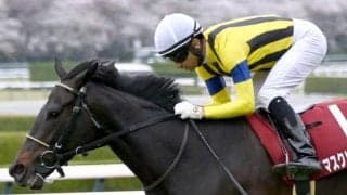 【府中牝馬S・馬体重】マスクトディーヴァは460kg(+6)、ブレイディヴェーグは472kg(+12)