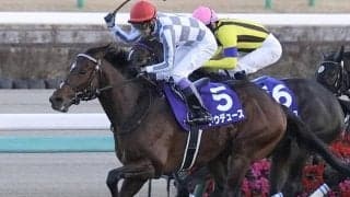 天皇賞(秋)に17頭登録 ドウデュースやリバティアイランドら