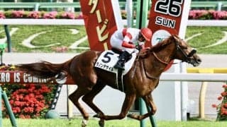 【菊花賞登録馬】ダービー馬・ダノンデサイルなど18頭