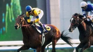 今年はエピファネイア産駒とゴールドシップ産駒にチャンス 父仔制覇の多い3冠最終戦・菊花賞