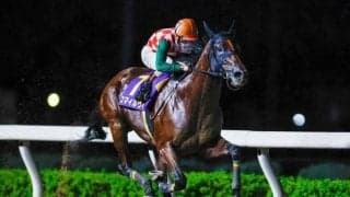 【大井・マイルグランプリ枠順】オーバルスプリントVのスマイルウィは8枠16番