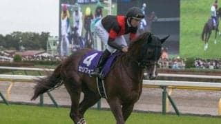 【富士S見どころ】セリフォスの地力を信頼
