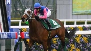 【菊花賞見どころ】持久力豊富なメイショウタバルが最後の一冠を狙う