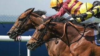 【菊花賞／危険な人気馬】“令和の菊男”しか勝てない現実　ドゥレッツァの再現狙うも「馬券内率13.7％」で消し