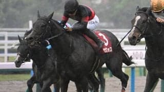 【富士S想定騎手】セリフォスは藤岡佑介騎手、ソウルラッシュは団野大成騎手