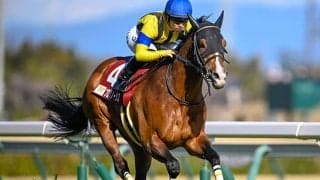 豪G1・コックスプレートの馬券発売が決定 日本からプログノーシスが参戦予定