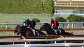 セレクト1歳で2億7000万円 パーティハーンが京都で初陣/関西馬メイクデビュー情報