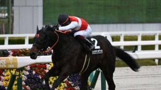 【AI予想・菊花賞】前走で大崩れしていない事が好走条件!? 波乱の可能性も示唆する人工知能の本命候補