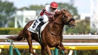 【菊花賞予想オッズ】ダノンデサイルが予想1番人気