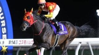 シーズン無敗5連勝中のベルピットが1位 エルムS4着シルトプレが続く/道営記念ファン投票結果