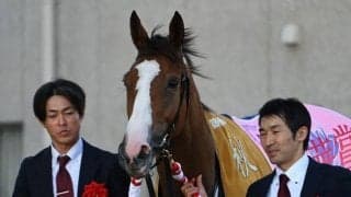 ハービンジャー産駒の“例外” 二冠牝馬チェルヴィニアを支える名牝系の活力